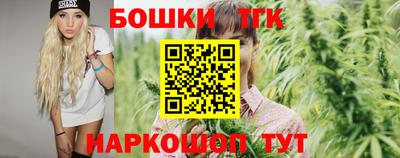 индика Моздок