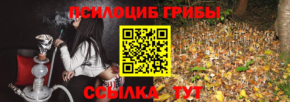 Галлюциногенные грибы Psilocybine cubensis  Галлюциногенные грибы Psilocybe  Ступино  Вход с VPN 